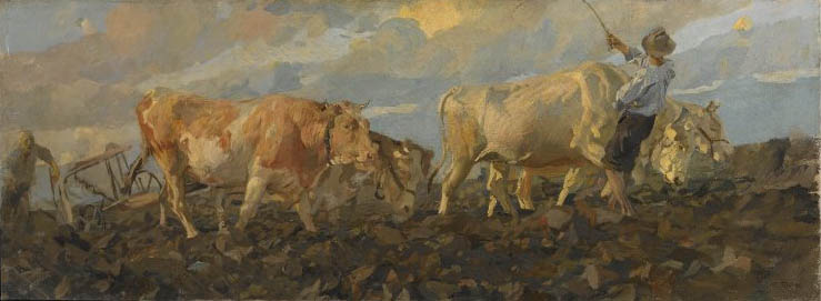 Oxen Plowing